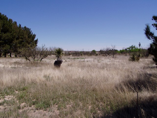 602 E Salgado St, Marfa, TX 79843