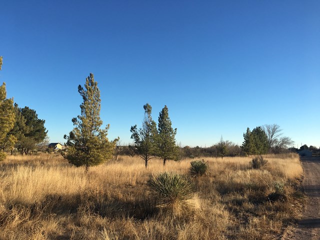 602 E Salgado St, Marfa, TX 79843