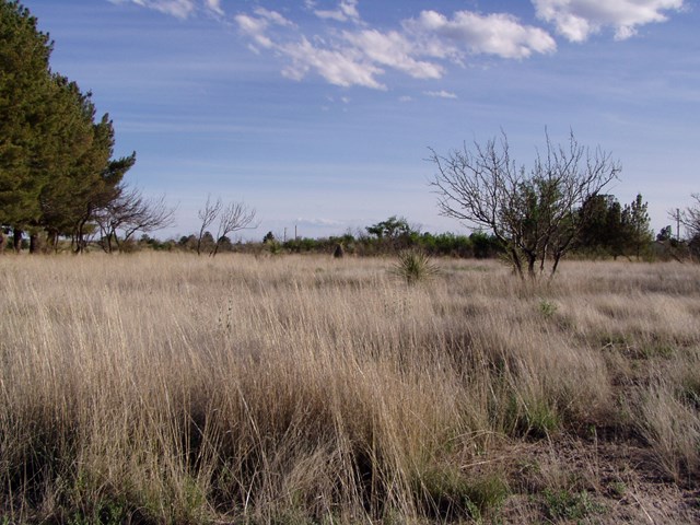 602 E Salgado St, Marfa, TX 79843