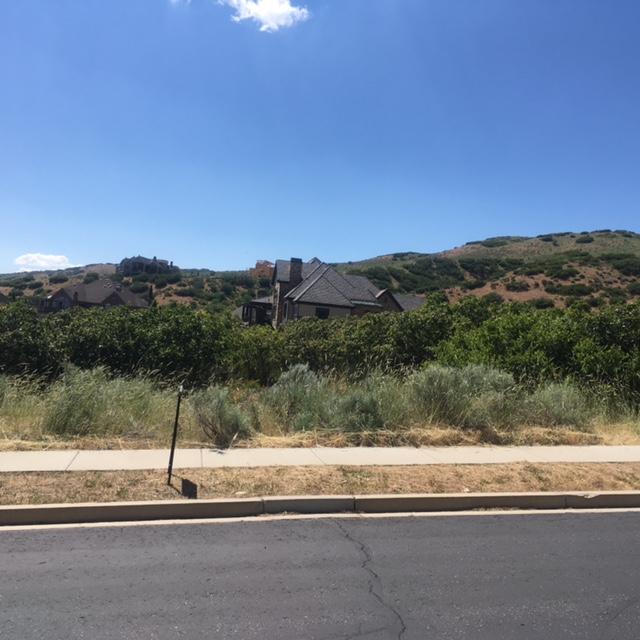 1305 N Elk Ridge LN, Alpine, UT 84004