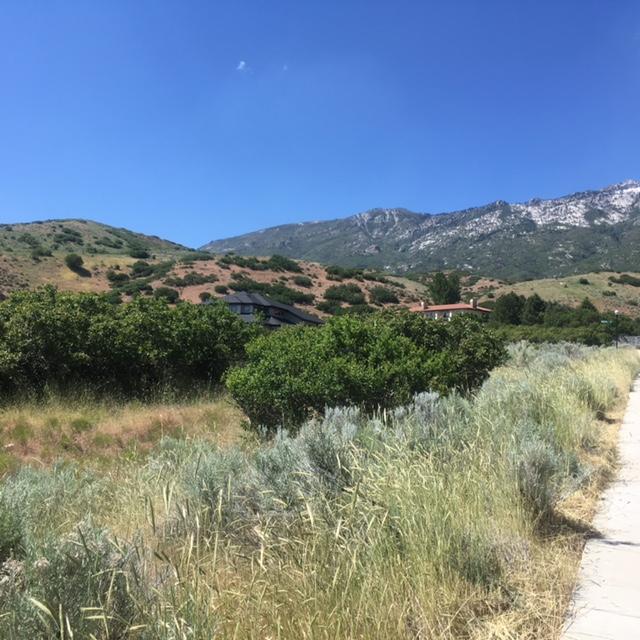 1305 N Elk Ridge LN, Alpine, UT 84004