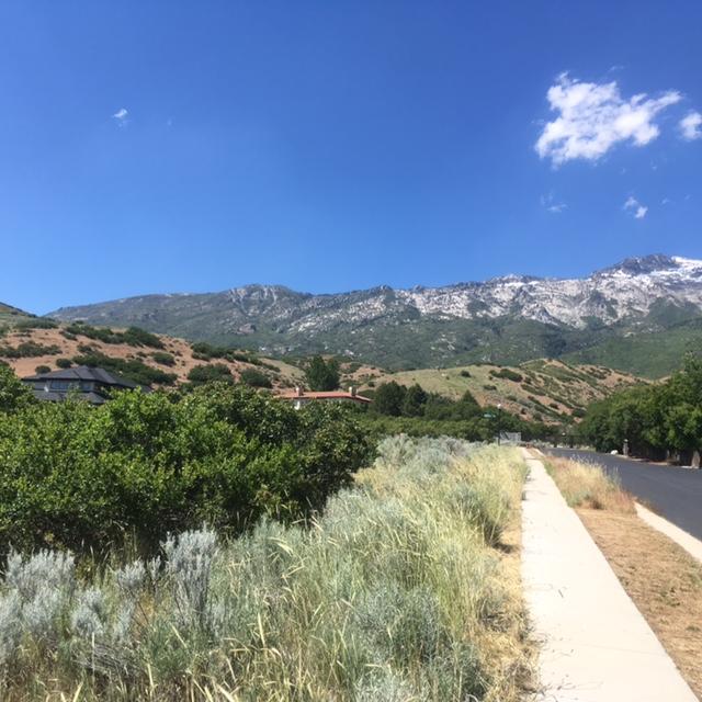 1305 N Elk Ridge LN, Alpine, UT 84004