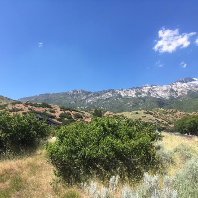 1305 N Elk Ridge LN, Alpine, UT 84004