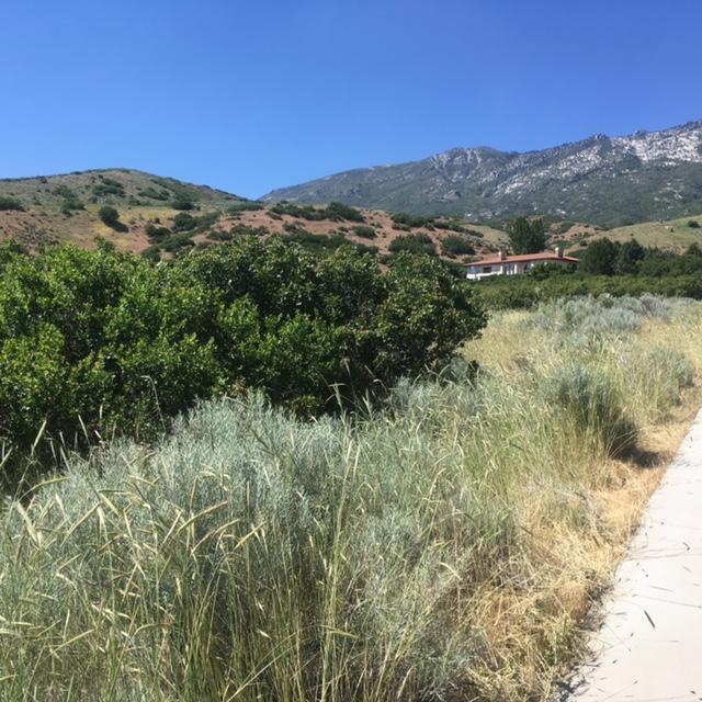 1305 N Elk Ridge LN, Alpine, UT 84004
