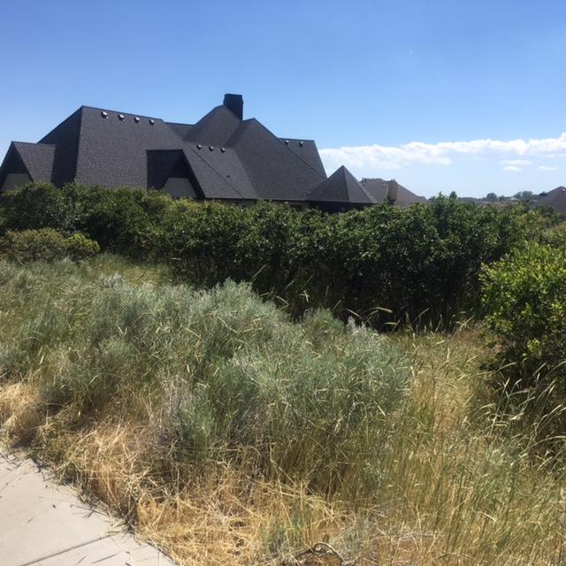 1305 N Elk Ridge LN, Alpine, UT 84004