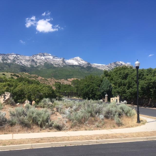 487 East View LN, Alpine, UT 84004