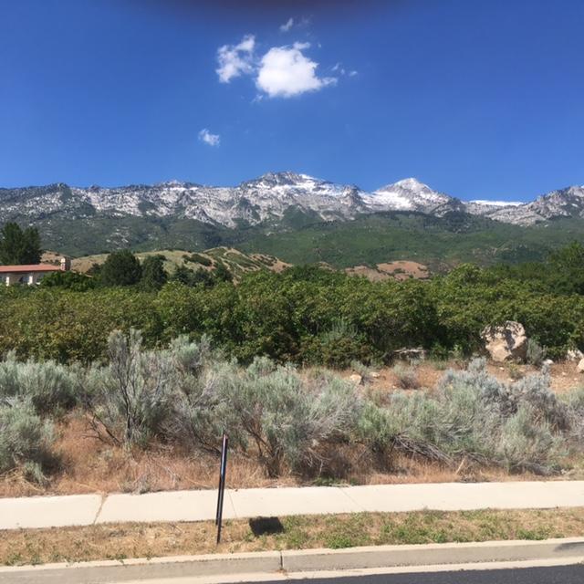 487 East View LN, Alpine, UT 84004