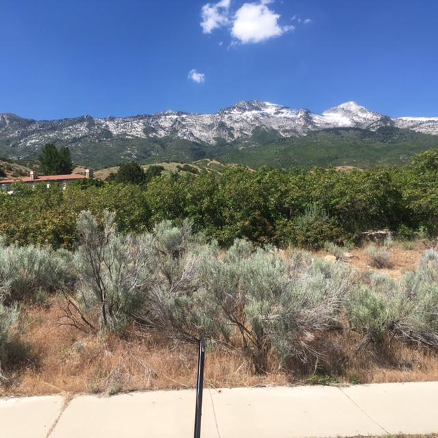 487 East View LN, Alpine, UT 84004