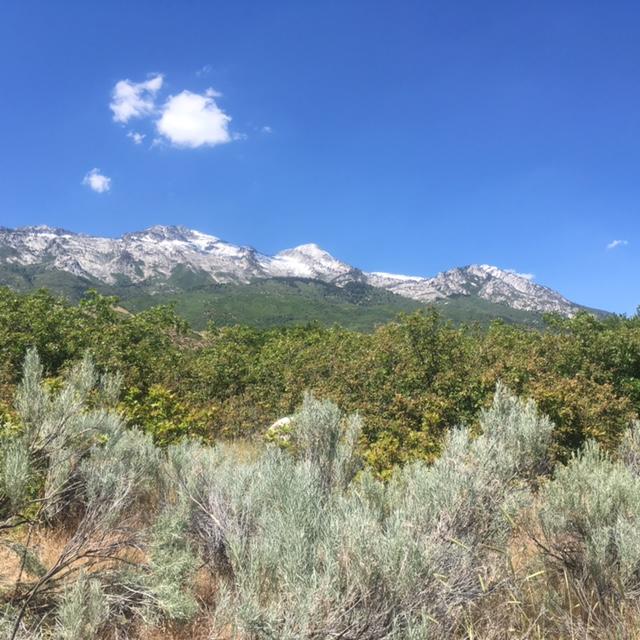 487 East View LN, Alpine, UT 84004
