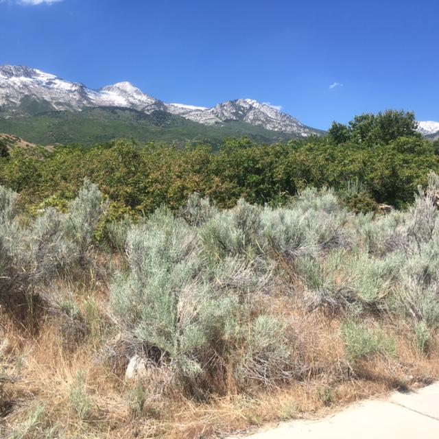 487 East View LN, Alpine, UT 84004