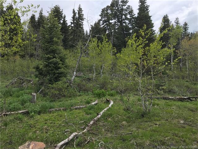917 W Deep Forest Road Lot#D-156, Wanship, UT 84017