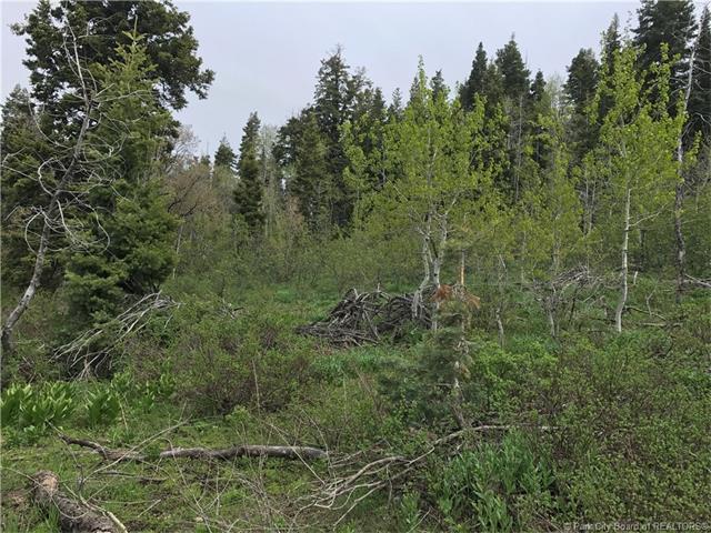 917 W Deep Forest Road Lot#D-156, Wanship, UT 84017