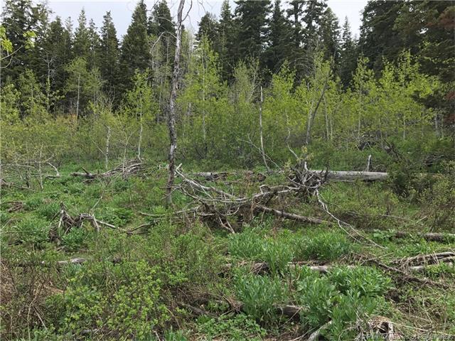 917 W Deep Forest Road Lot#D-156, Wanship, UT 84017