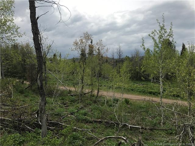 917 W Deep Forest Road Lot#D-156, Wanship, UT 84017