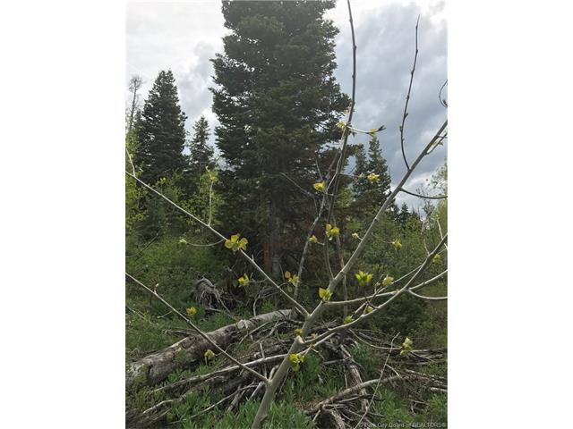 917 W Deep Forest Road Lot#D-156, Wanship, UT 84017
