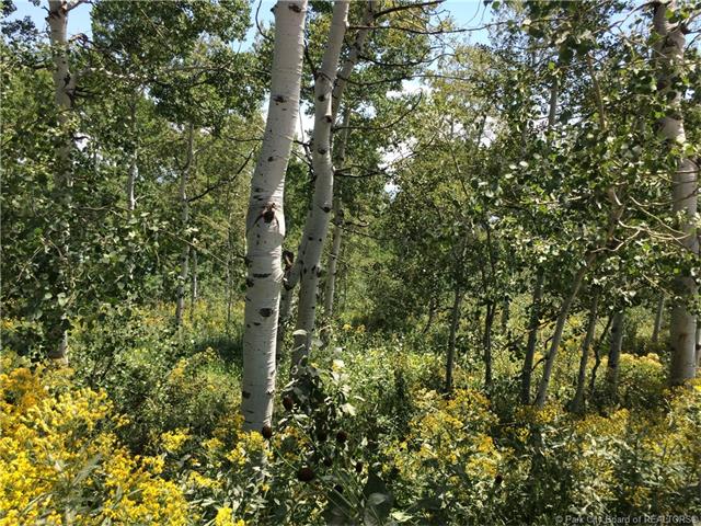 1763 W Heather Lane, Wanship, UT 84017