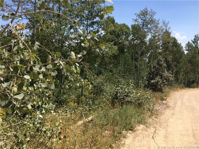 1763 W Heather Lane, Wanship, UT 84017