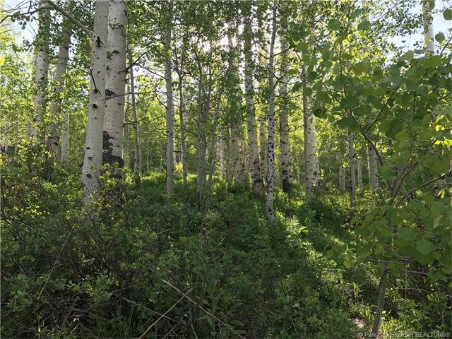 2238 Uintah View Drive, Wanship, UT 84017