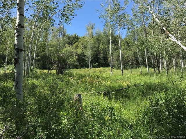 2488 Forest Circle, Wanship, UT 84017, Wanship, UT 84017