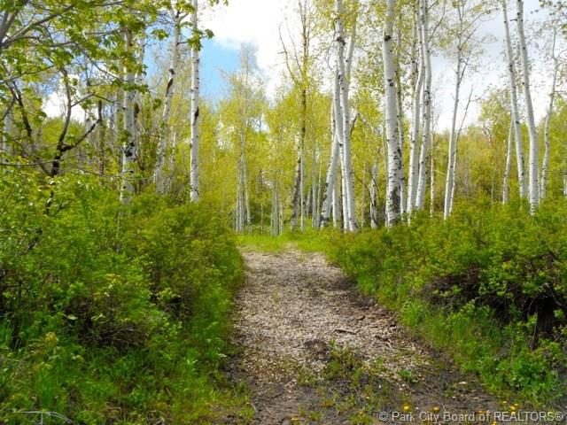 2488 Forest Circle, Wanship, UT 84017, Wanship, UT 84017
