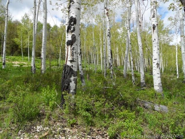 2488 Forest Circle, Wanship, UT 84017, Wanship, UT 84017