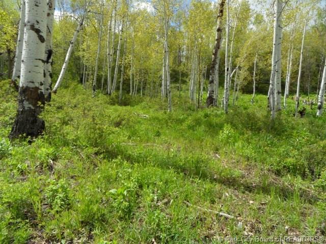 2488 Forest Circle, Wanship, UT 84017, Wanship, UT 84017