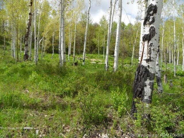 2488 Forest Circle, Wanship, UT 84017, Wanship, UT 84017