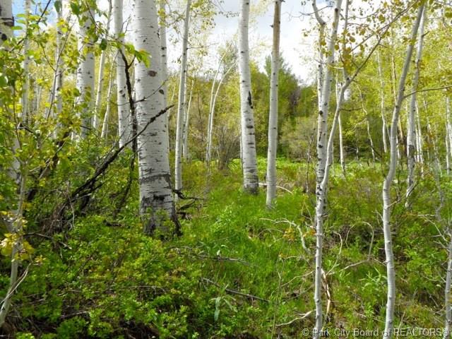 2488 Forest Circle, Wanship, UT 84017, Wanship, UT 84017