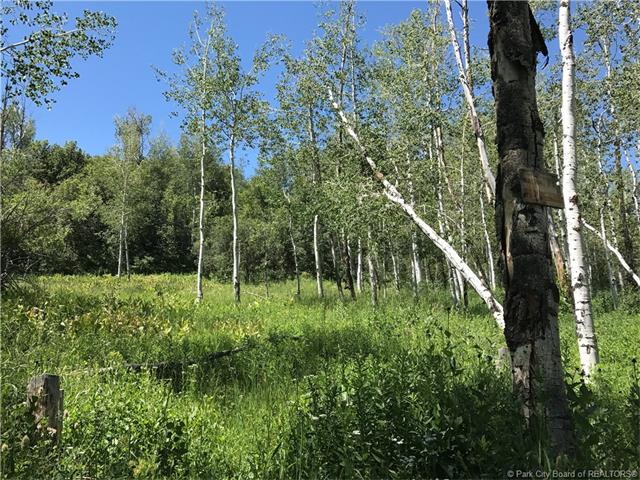 2488 Forest Circle, Wanship, UT 84017, Wanship, UT 84017