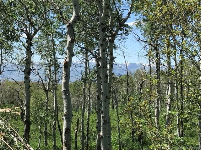 2648 S Forest Meadows Road Lot#80, Wanship, UT 84017