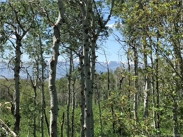 2648 S Forest Meadows Road Lot#80, Wanship, UT 84017