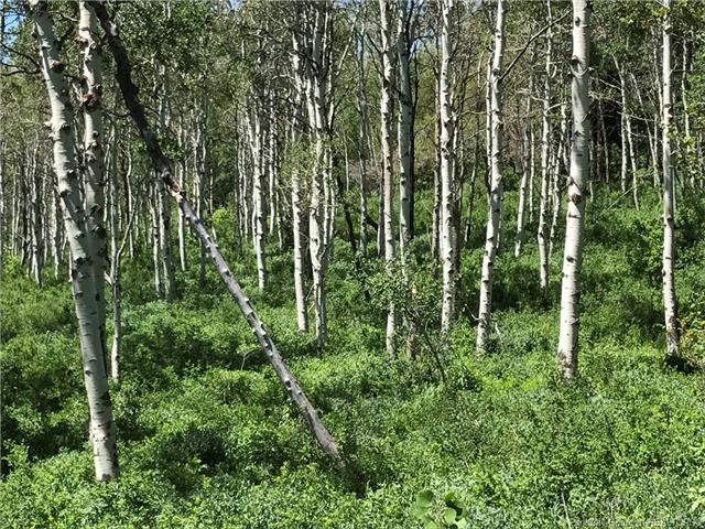 2648 S Forest Meadows Road Lot#80, Wanship, UT 84017