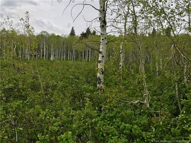 2648 S Forest Meadows Road Lot#80, Wanship, UT 84017