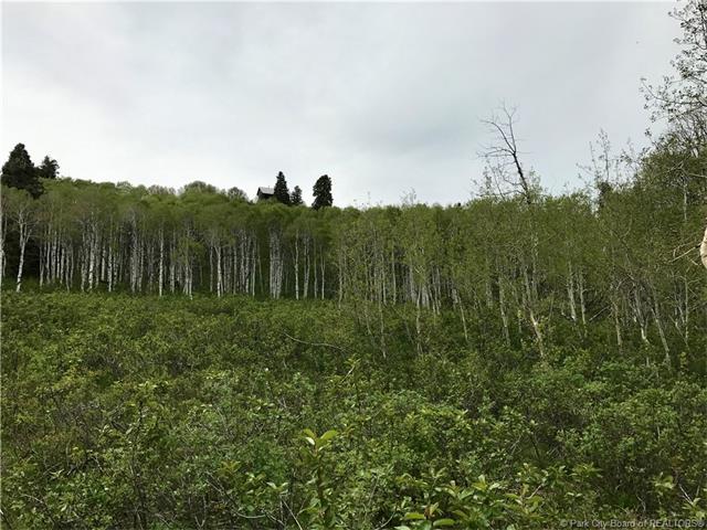 2648 S Forest Meadows Road Lot#80, Wanship, UT 84017