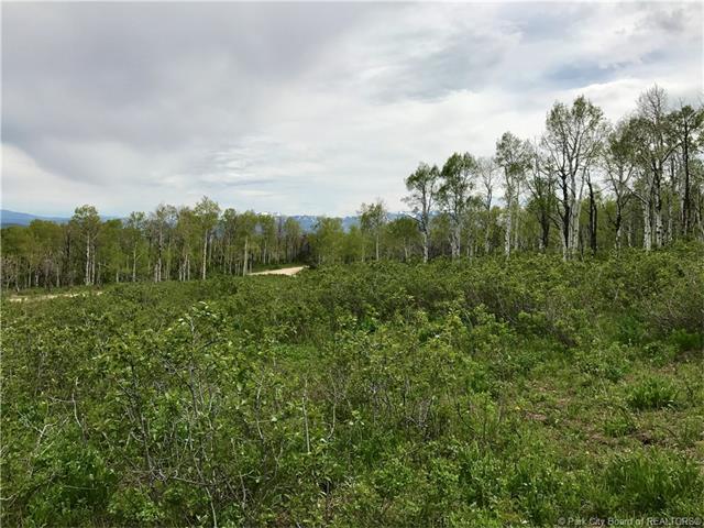 2648 S Forest Meadows Road Lot#80, Wanship, UT 84017