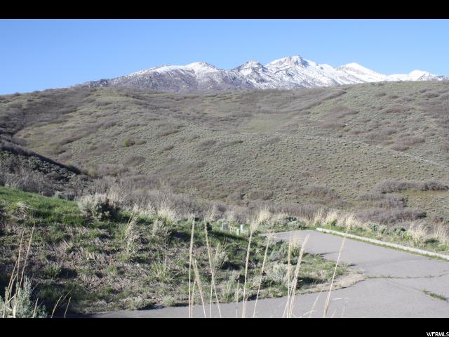 15338 S WINGED TRACE CT E, Draper, UT 84020