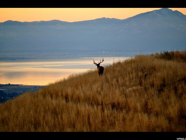 1982 E FIELDING HILL LN S, Draper , UT 84020