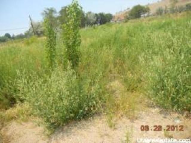 Duchesne, UT 84021