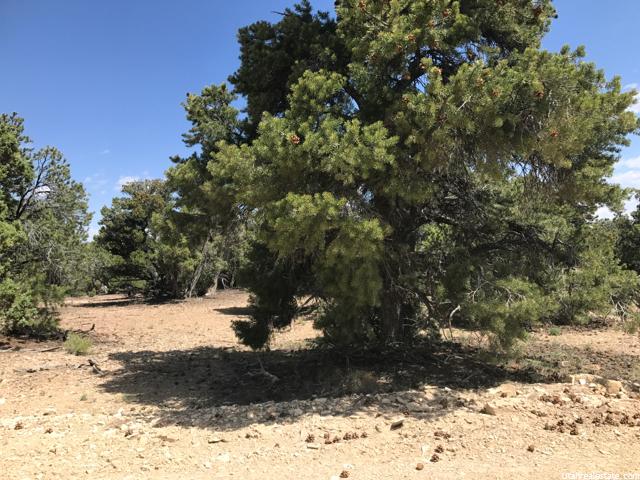 33644 W 8750 S, Fruitland, UT 84027
