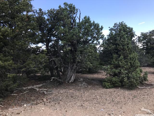 33644 W 8750 S, Fruitland, UT 84027