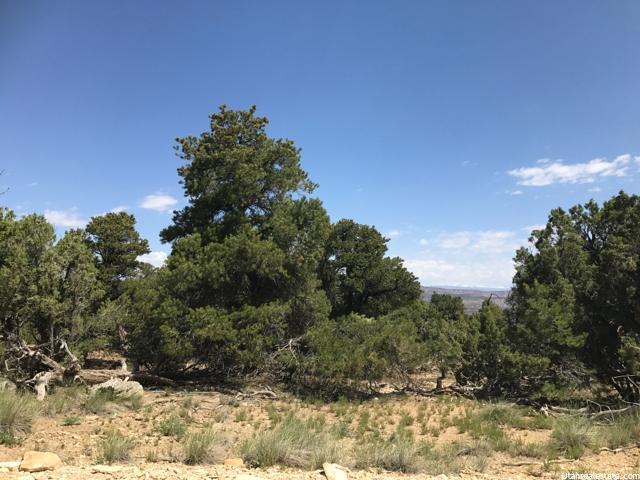 33644 W 8750 S, Fruitland, UT 84027