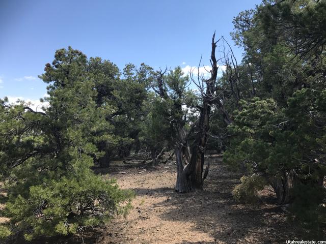 33644 W 8750 S, Fruitland, UT 84027