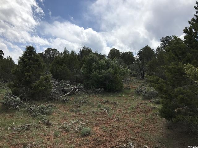 1094 S STAGECOACH, Fruitland, UT 84027
