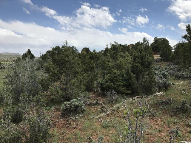 1094 S STAGECOACH, Fruitland, UT 84027