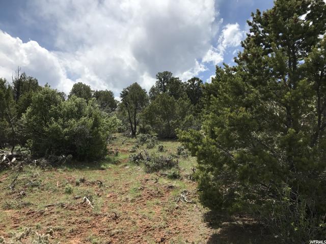 1094 S STAGECOACH, Fruitland, UT 84027
