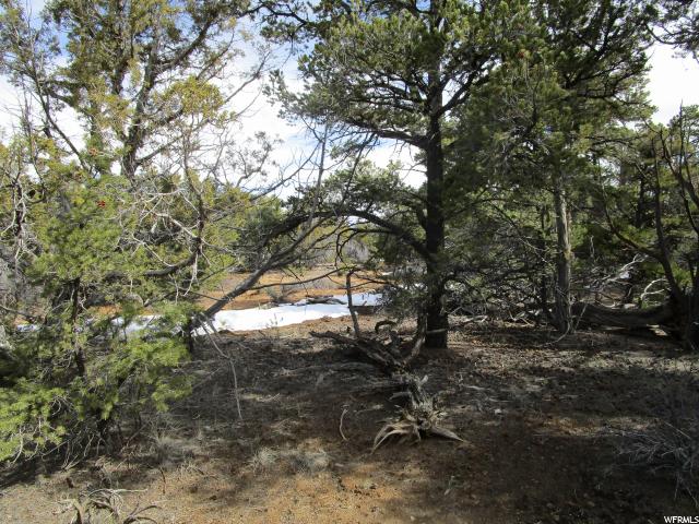 Fruitland, UT 84027