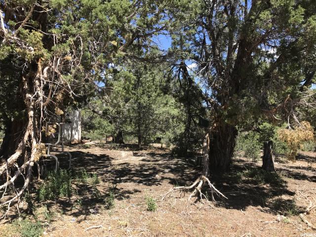 45906 W LITTLE ELK RD, Fruitland, UT 84027