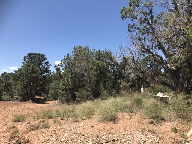 45906 W LITTLE ELK RD, Fruitland, UT 84027