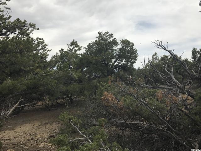 Fruitland, UT 84027