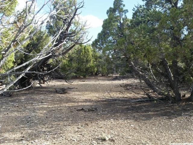 Fruitland, UT 84027